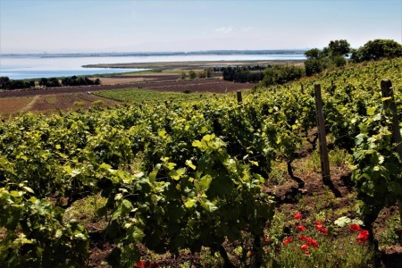 af6038056f6231c664e3ef073c45af10_M