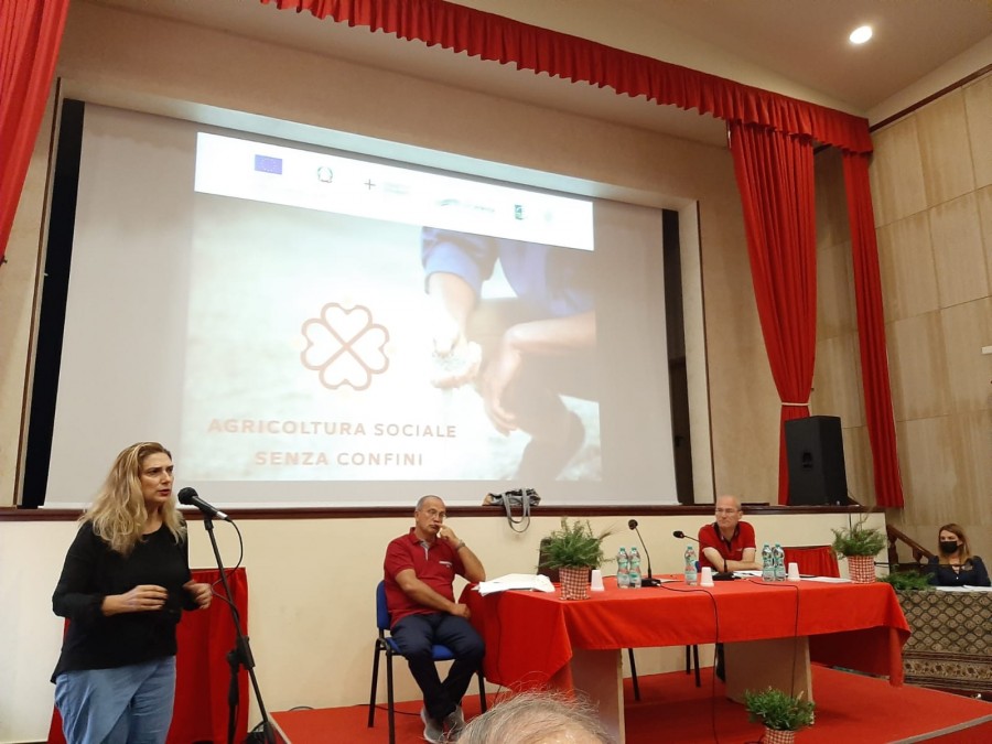 e7a6f6b910c37abcb54adf404e3a392a_XL